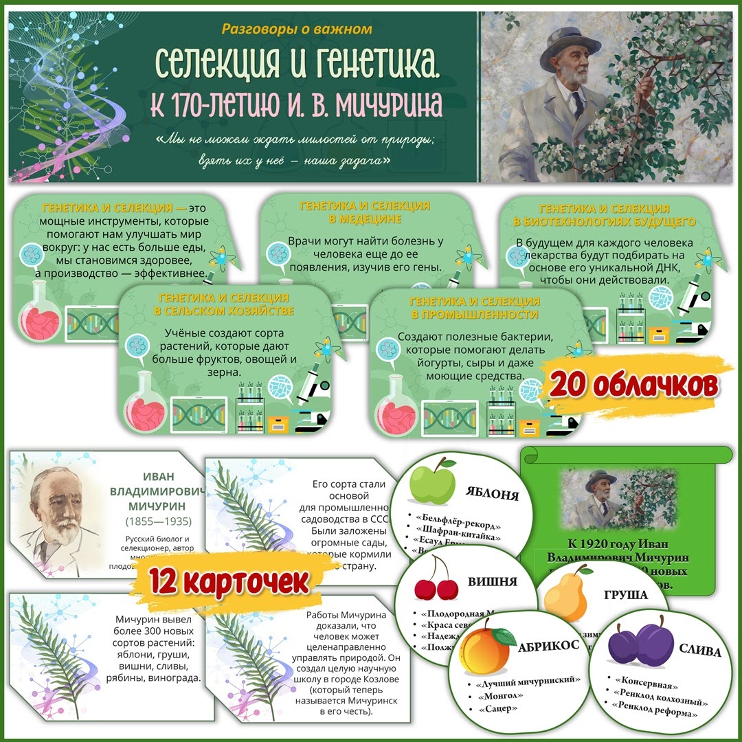 Оформление «Селекция и генетика. К 170-летию И. В. Мичурина». Разговоры о важном 10 ноября 2025 года