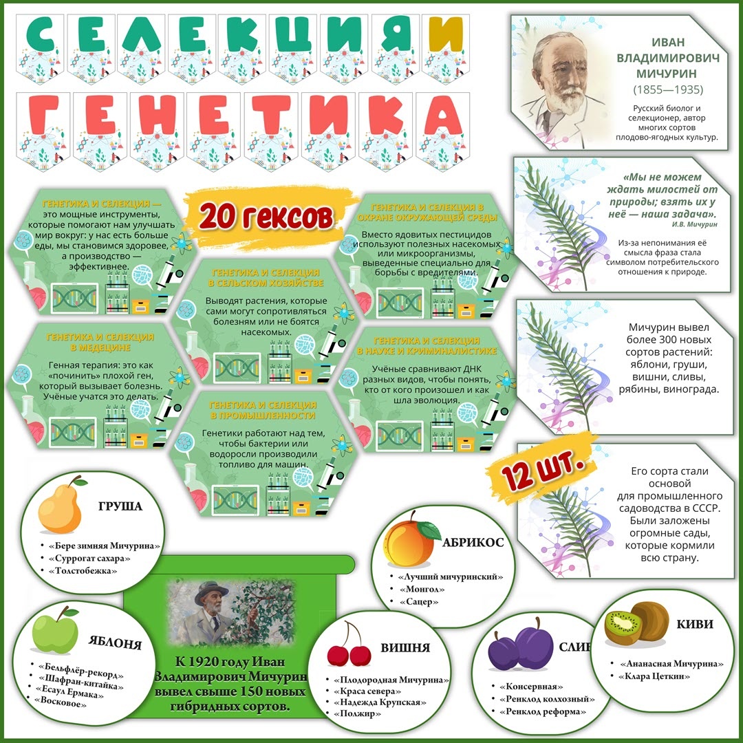 РОВ: флажки, гексы, речевые облака «Селекция и генетика. К 170-летию И. В. Мичурина». Разговоры о важном 10 ноября 2025 г. 