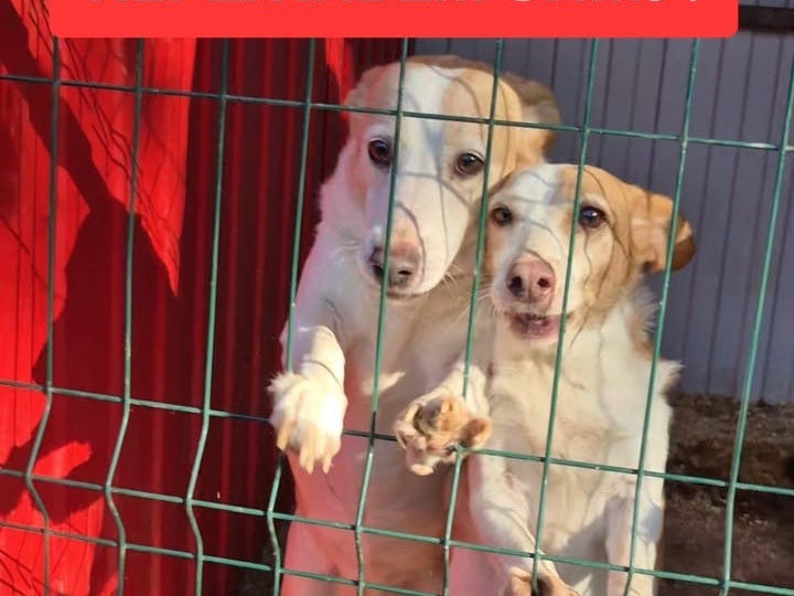 Спасите от холода старичков и инвалидов!