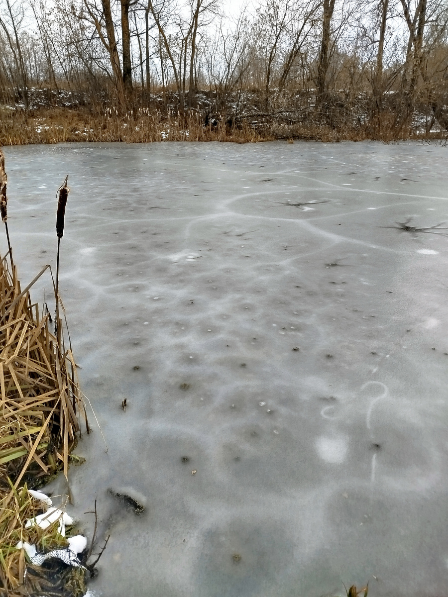 Лёд рыхлый, появляются проталины.