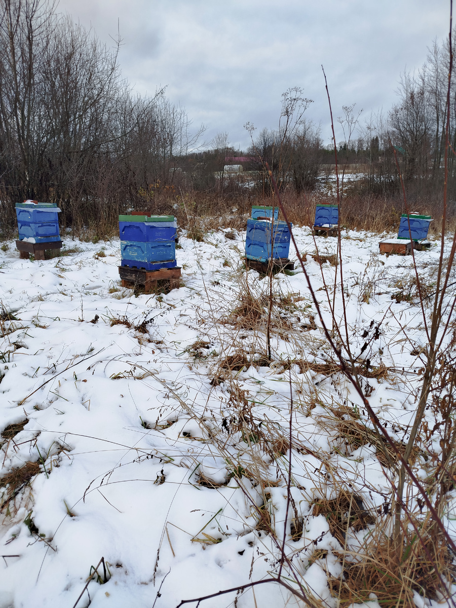 Осталось 9шт., одна слетела.