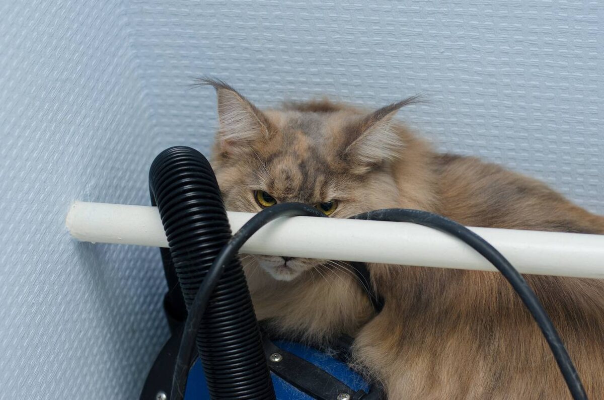 Тишина для нас - громкость для них.