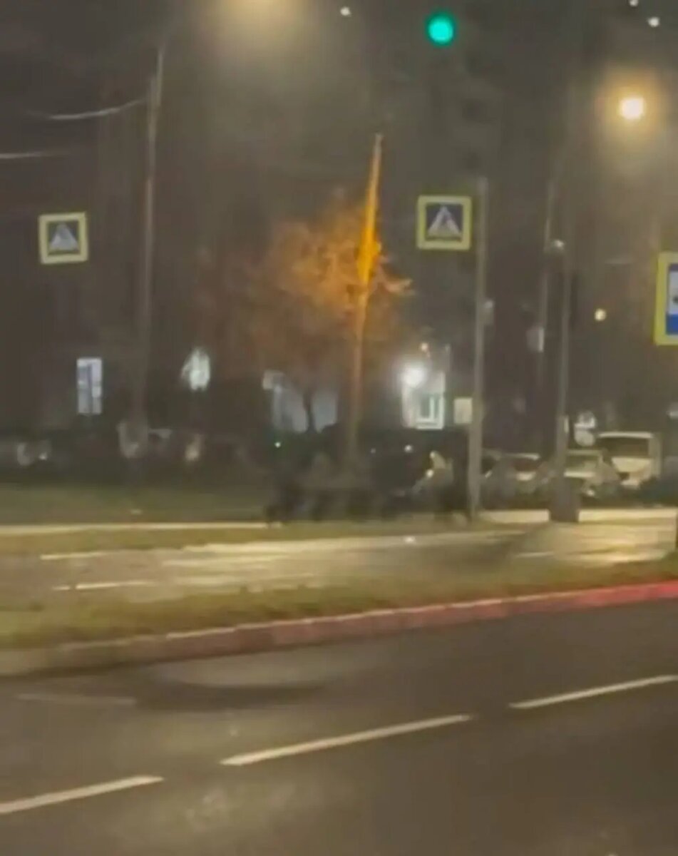    Фото: скриншот видео телеграм-канала Мегаполис | ДТП и ЧП | Санкт-Петербург | Питер