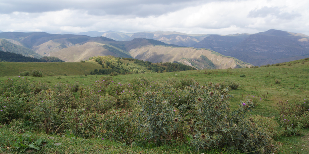 Едем от Джилы-Су к Лаго-Наки. Кэмпинг на берегу реки Белой.