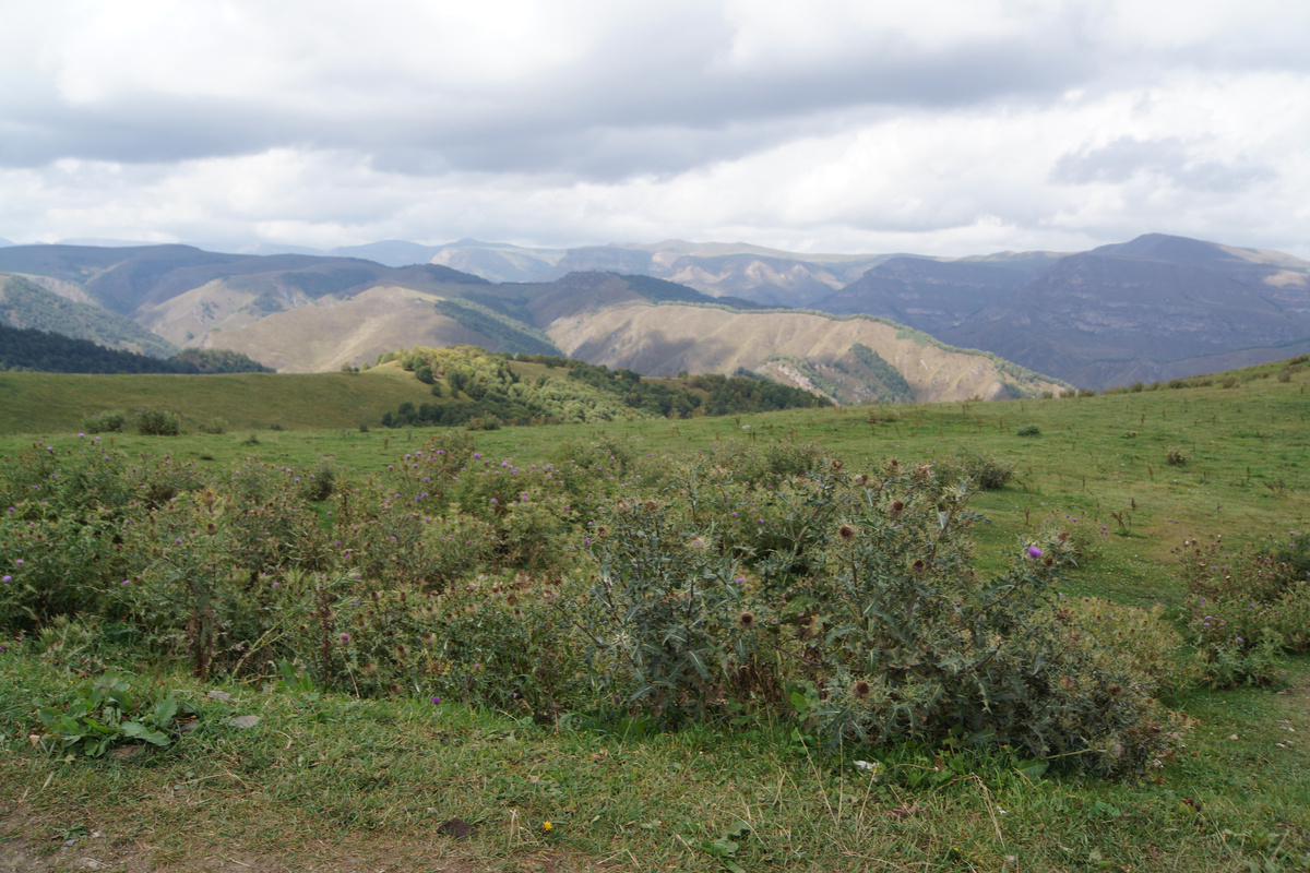 Дорога на Джилы-Су