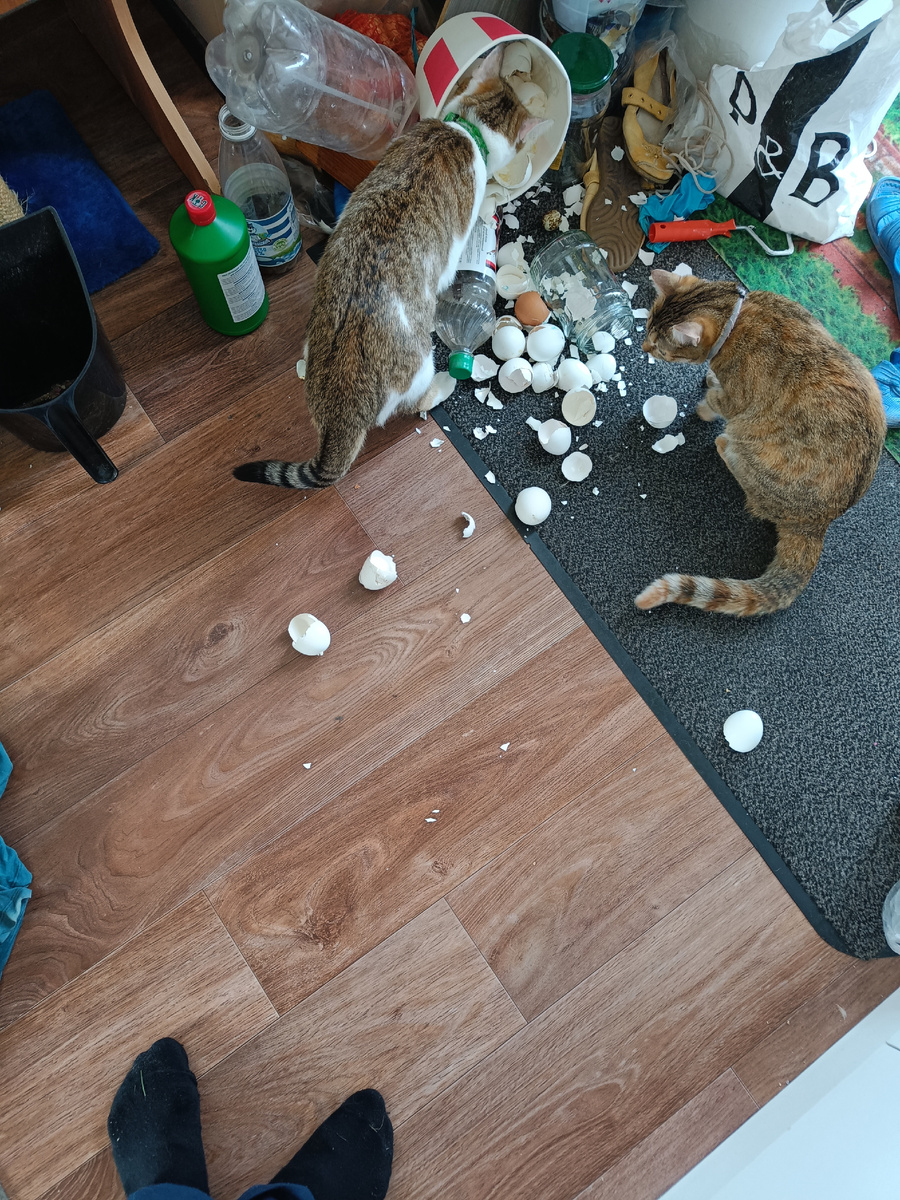 и кто это сделал? 