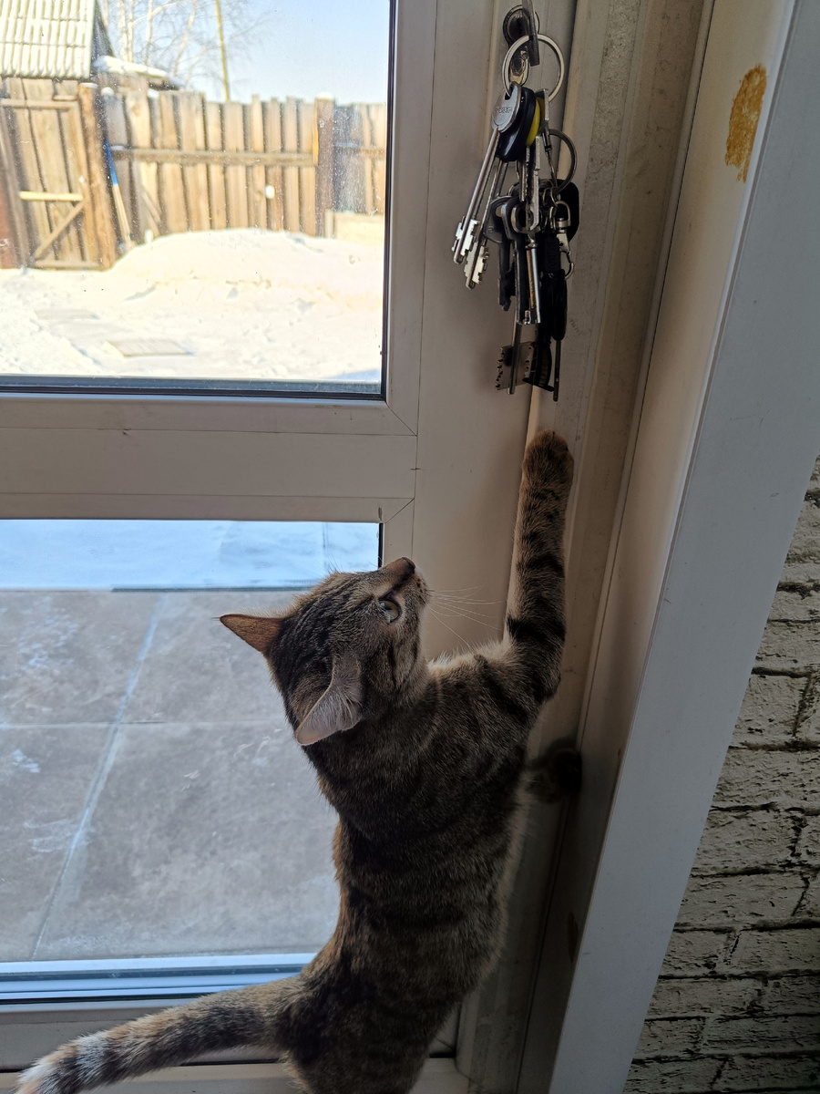 Надо повернуть ключ и выпустить детку на улицу (фото из архива)