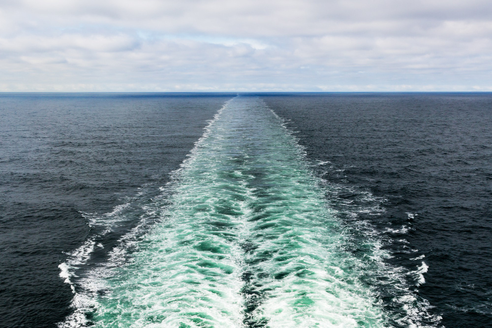    Фото: wirestock/freepik