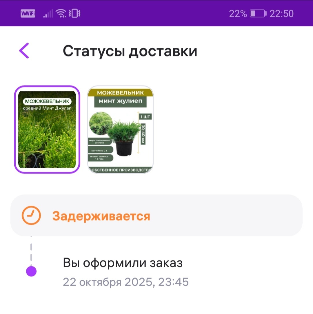 Один заказ я отменила сама, а вот остальные решила оставить из интереса. Но следующий отменил сам продавец (я насчёт этого заказа писала в поддержку), а третий так и висит. Хорошая цена зафиксирована, пусть висит пока. 