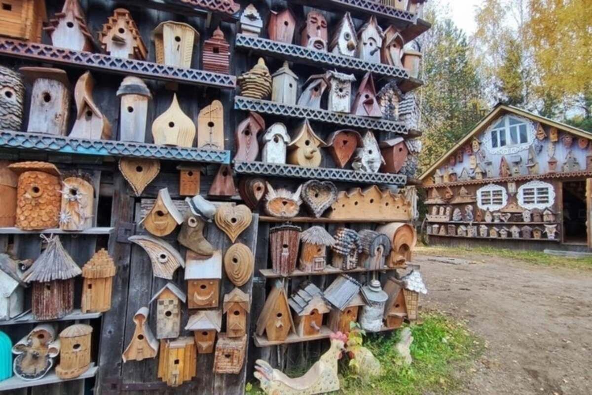    Фото: КО44.RU, источник: k1news.ru