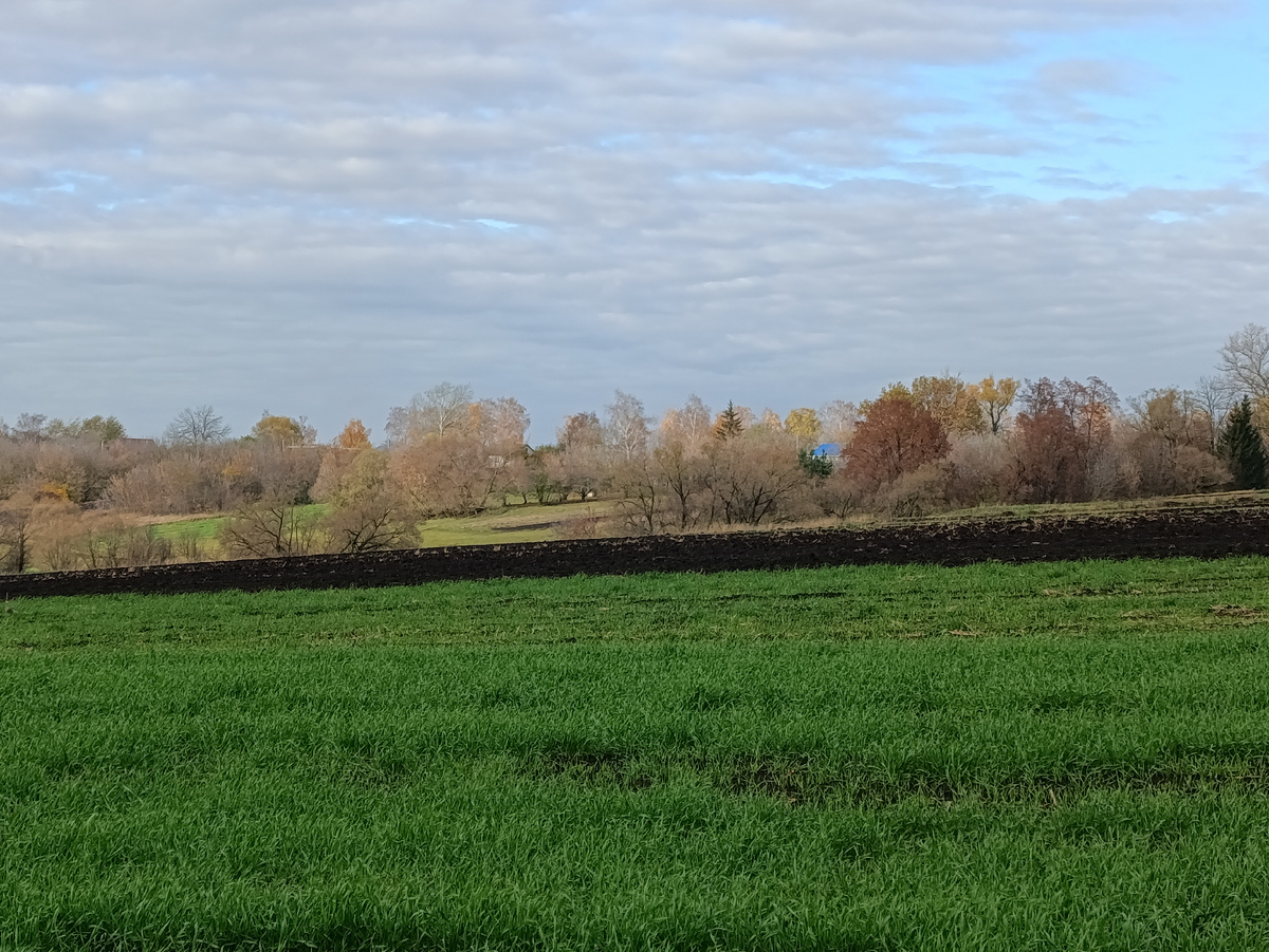 Деревенское раздолье