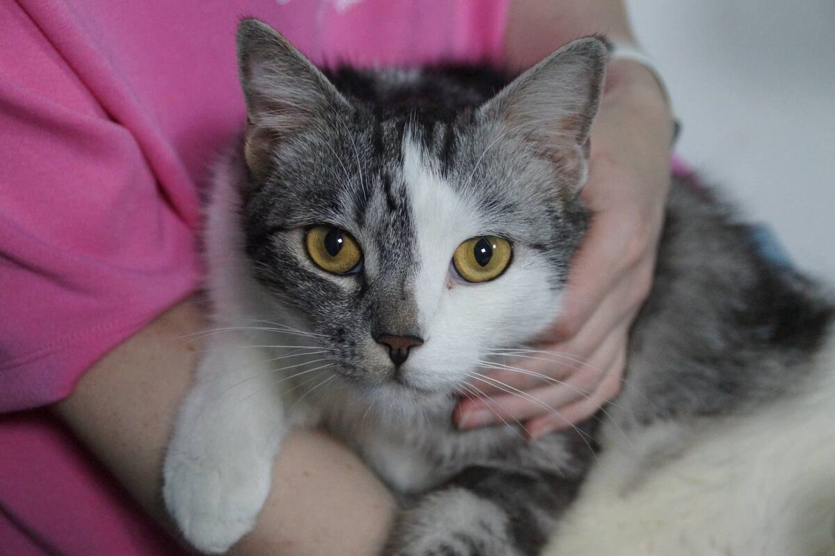 Кто куратора обидел??