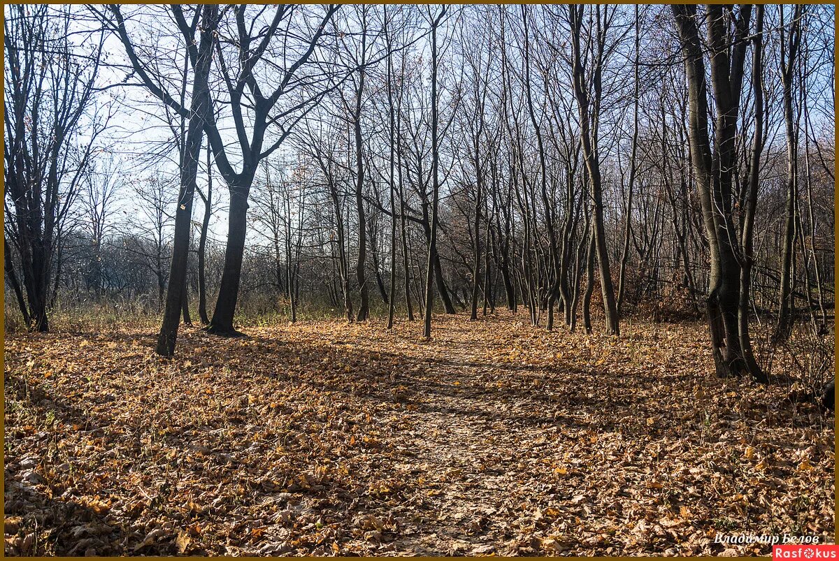 Автор фото - Владимир Белов. Источник изображения: http://rasfokus.ru/photos/photo1273534.html 