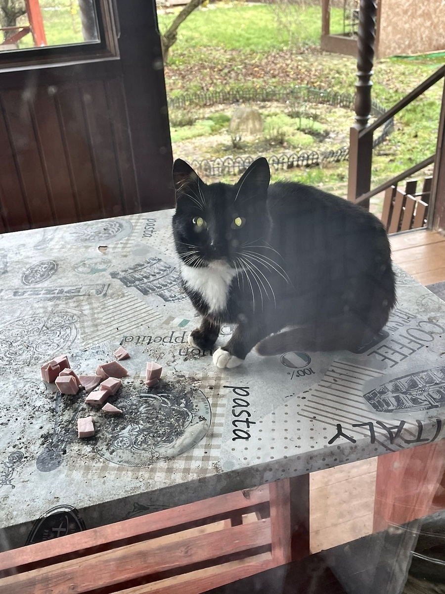 Вторая порция пошла!