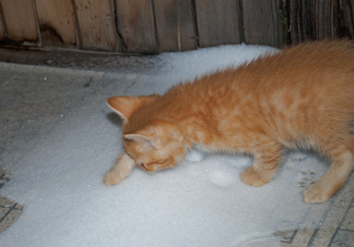 первый раз увидел снег... тогда у нас еще не было пластика