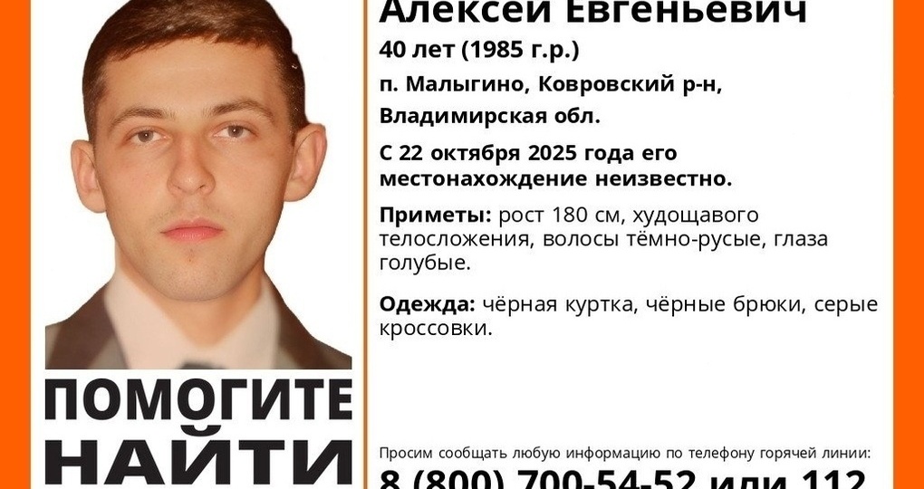 Развернуты поиски пропавшего две недели назад жителя Мурома