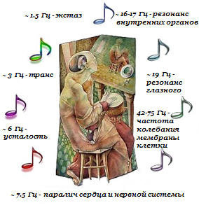 На рисунке видно, как разные инфрачастоты воздействуют на человеческий организм.