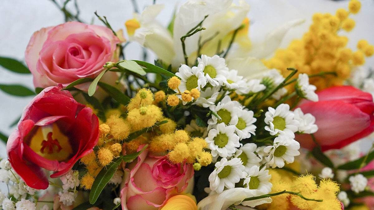    Фото: Александр Авилов / АГН Москва