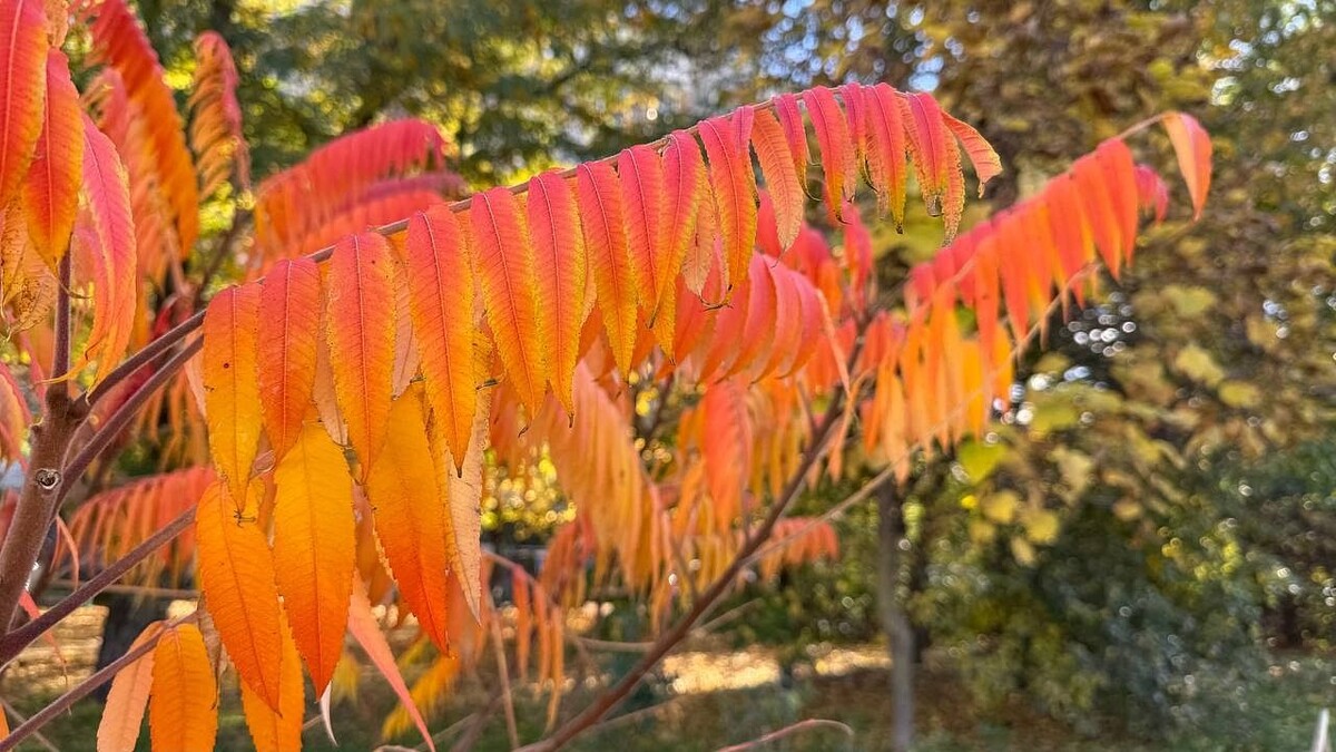    Фото: телеканал «Краснодар»