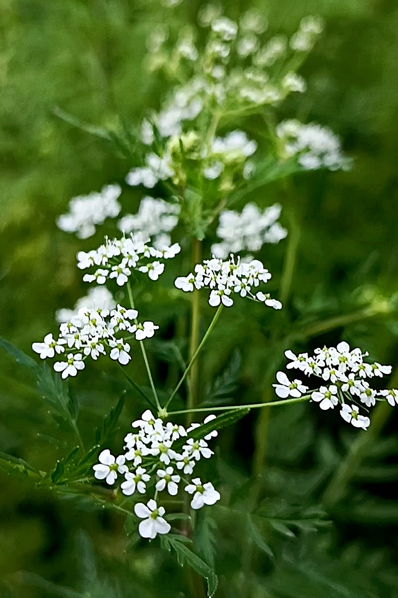 Фоторабота автора канала: "Белая дорога"