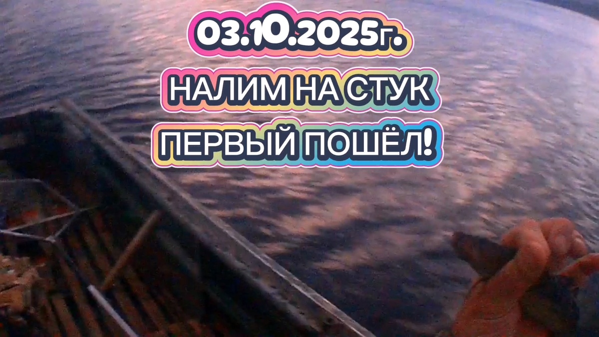 ПЕРВЫЙ НАЛИМЧИК! ЗИМНИЙ СЕЗОН 2025-2026 Г. ОТКРЫТ! 