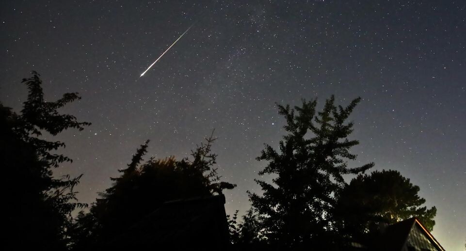    Marco A. Ludwig/dpa / www.globallookpress.com