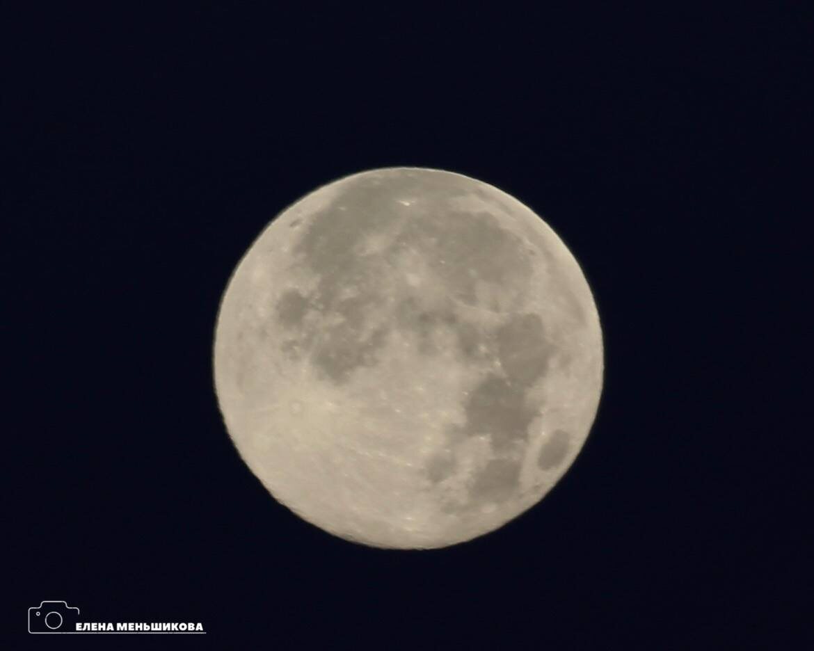    Бобровая Луна Наталья Краснова