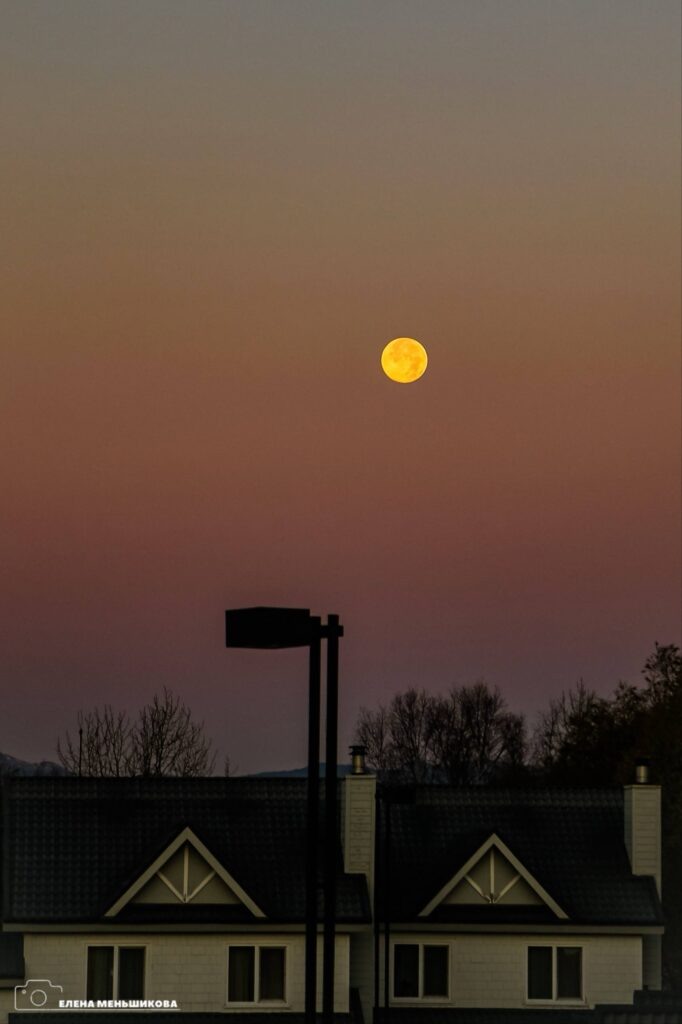    Фото: Telegram-канал «Ловлю моменты сквозь объектив» Наталья Краснова