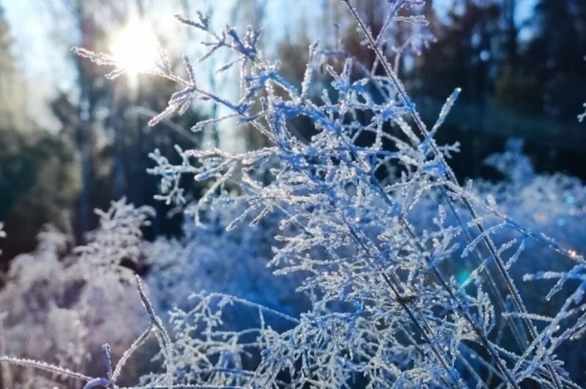    Новосибирску предрекают суровую зиму с температурой до минус 40 градусов