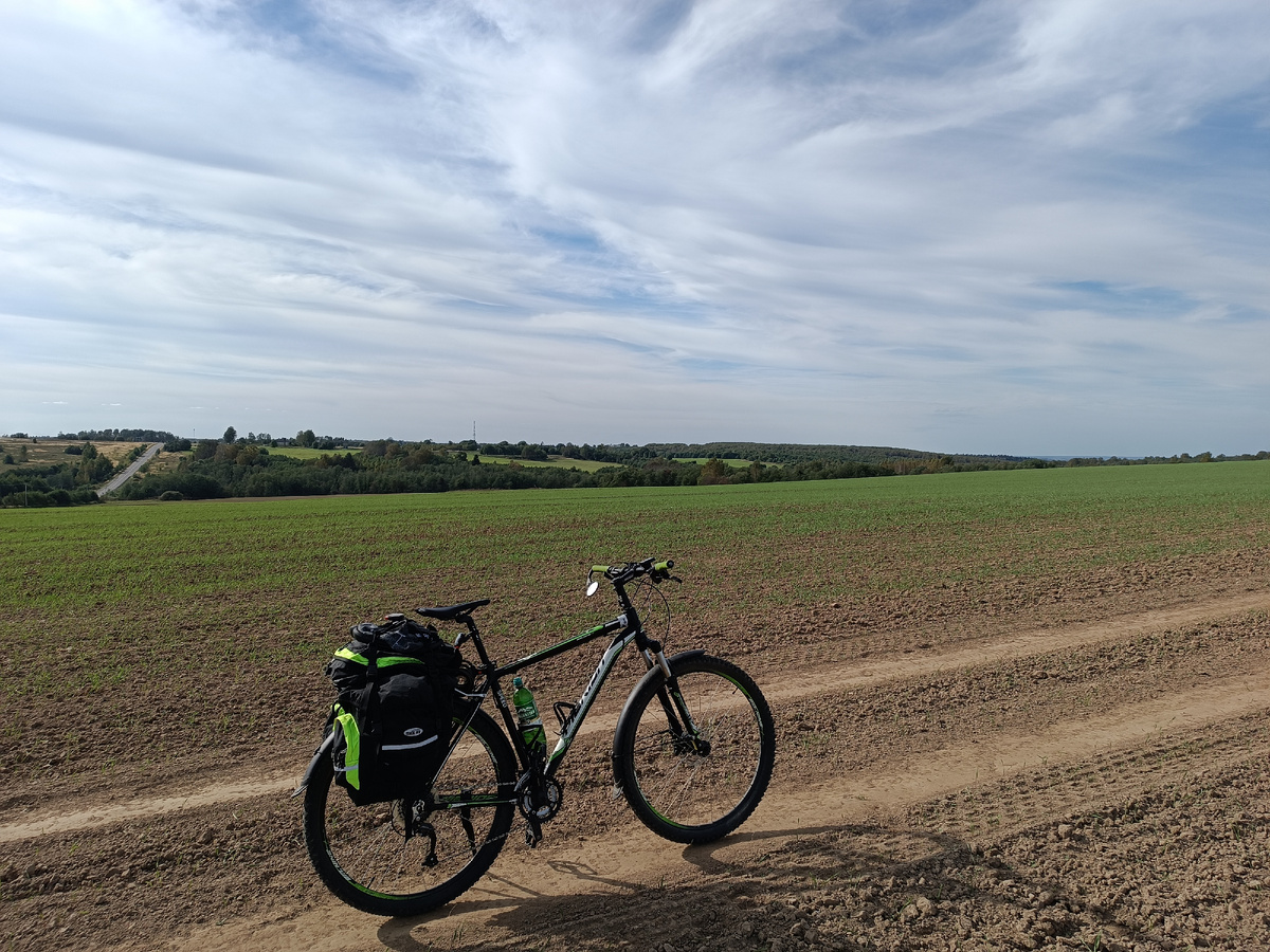 На таких дорогах можно обойтись и без зеркал.