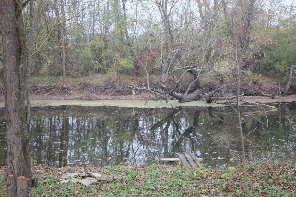 Открывшийся вид на реку