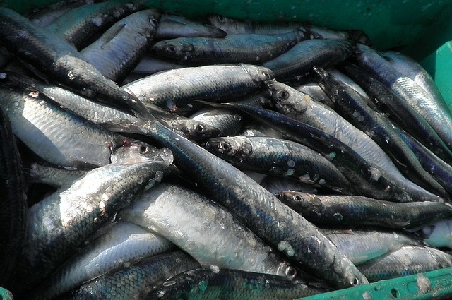    Фото: pixabay.com