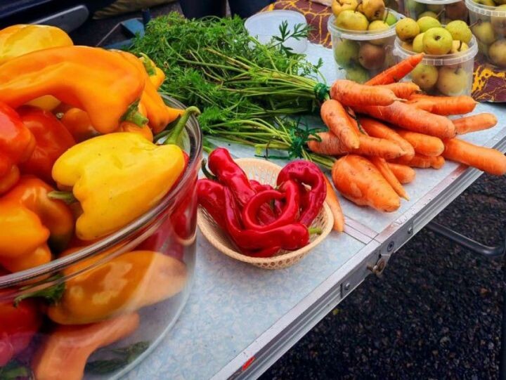    Фото:пресс-служба министерства сельского хозяйства и продовольствия Хабаровского края