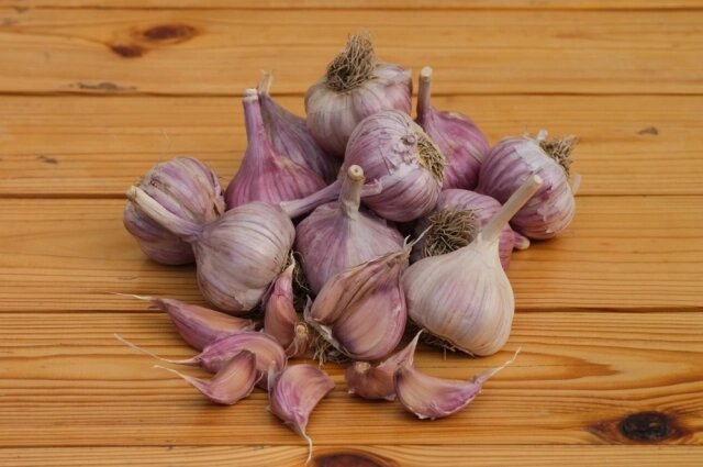    Фото: istockphoto.com