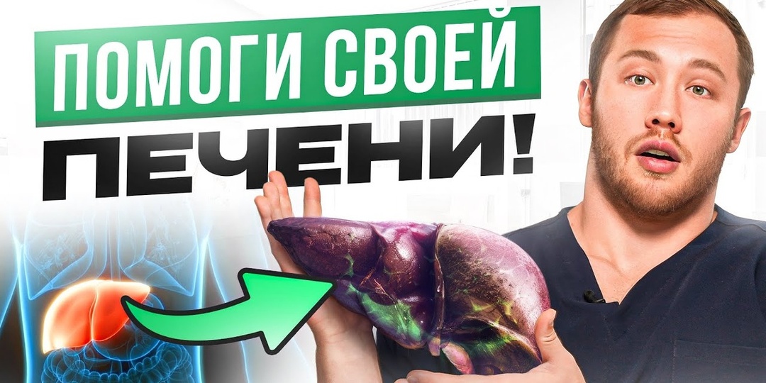Гепатолог рассказал, почему печень болит не сразу (интервью)
