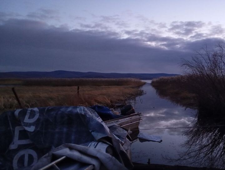    Фото:телеграм-канал Амурской бассейновой природоохранной прокуратуры