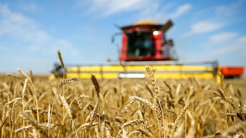   РИА Новости