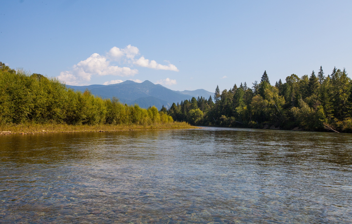 Андрей Огородник/ТАСС