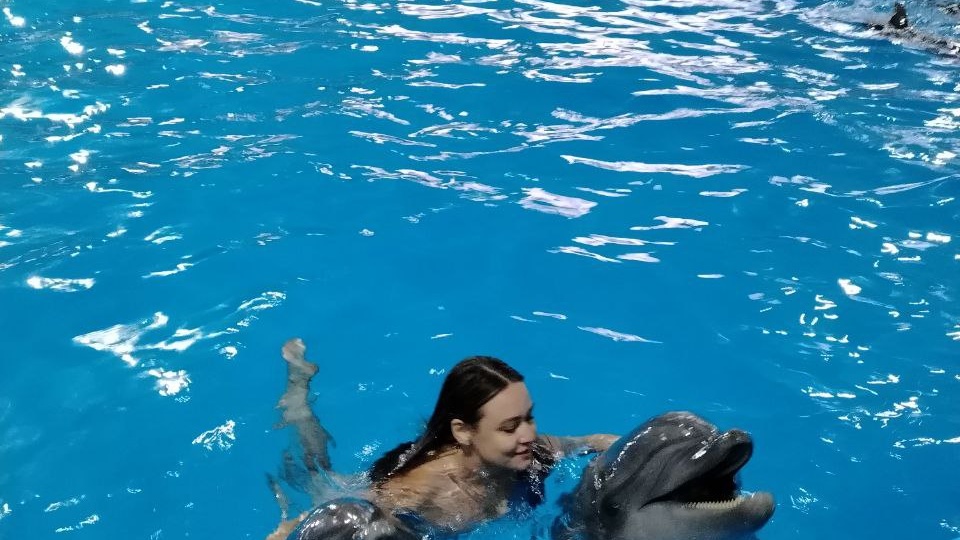 Дельфины в Алуште! Поплавали с дружелюбными млекопитающими