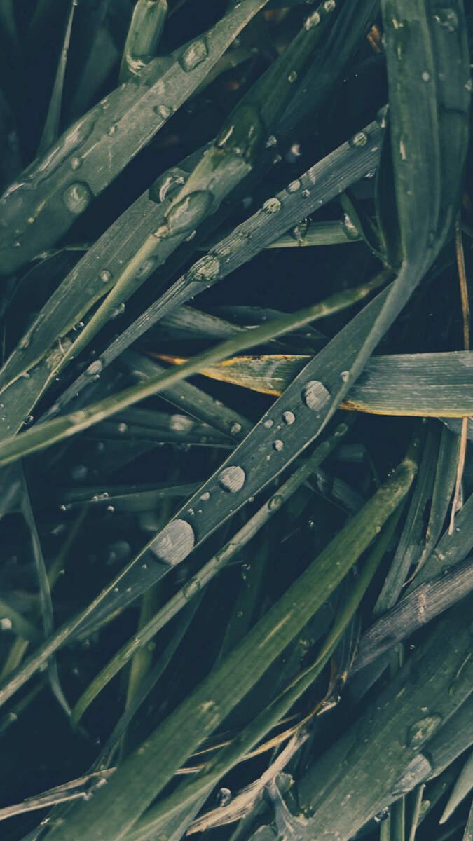 Все фото в этой статье сделаны Катей