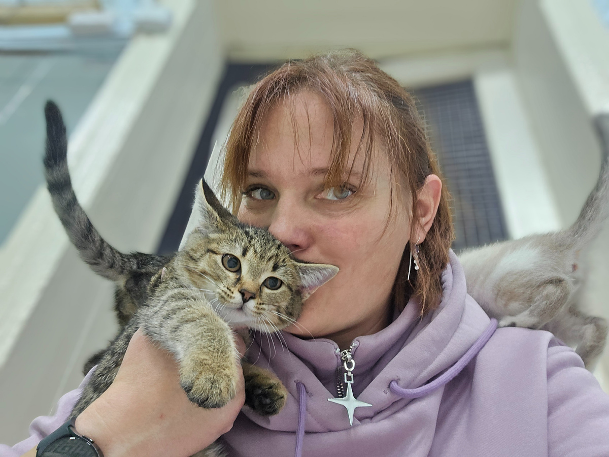 полосатое счастье жмётся к сердцу