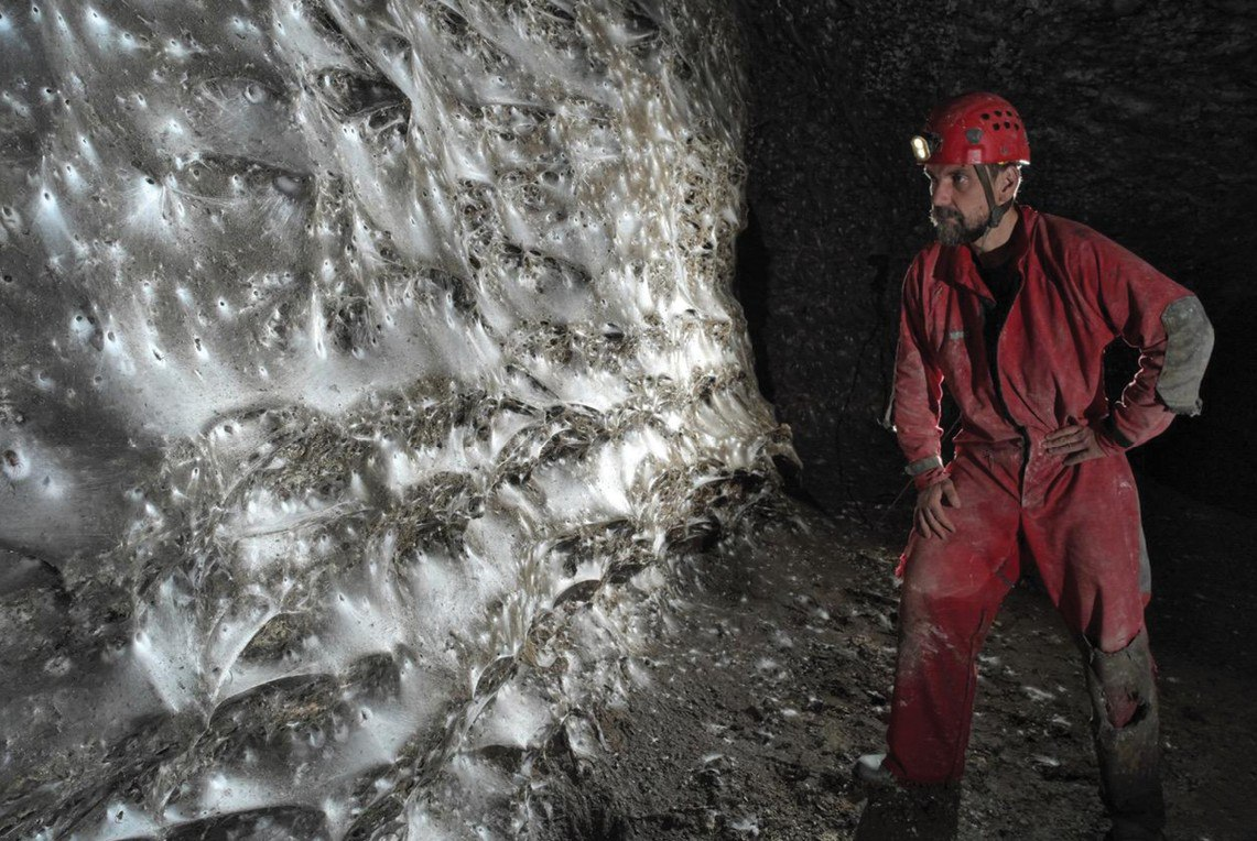 Всё это - паутина. Вы не ошиблись.