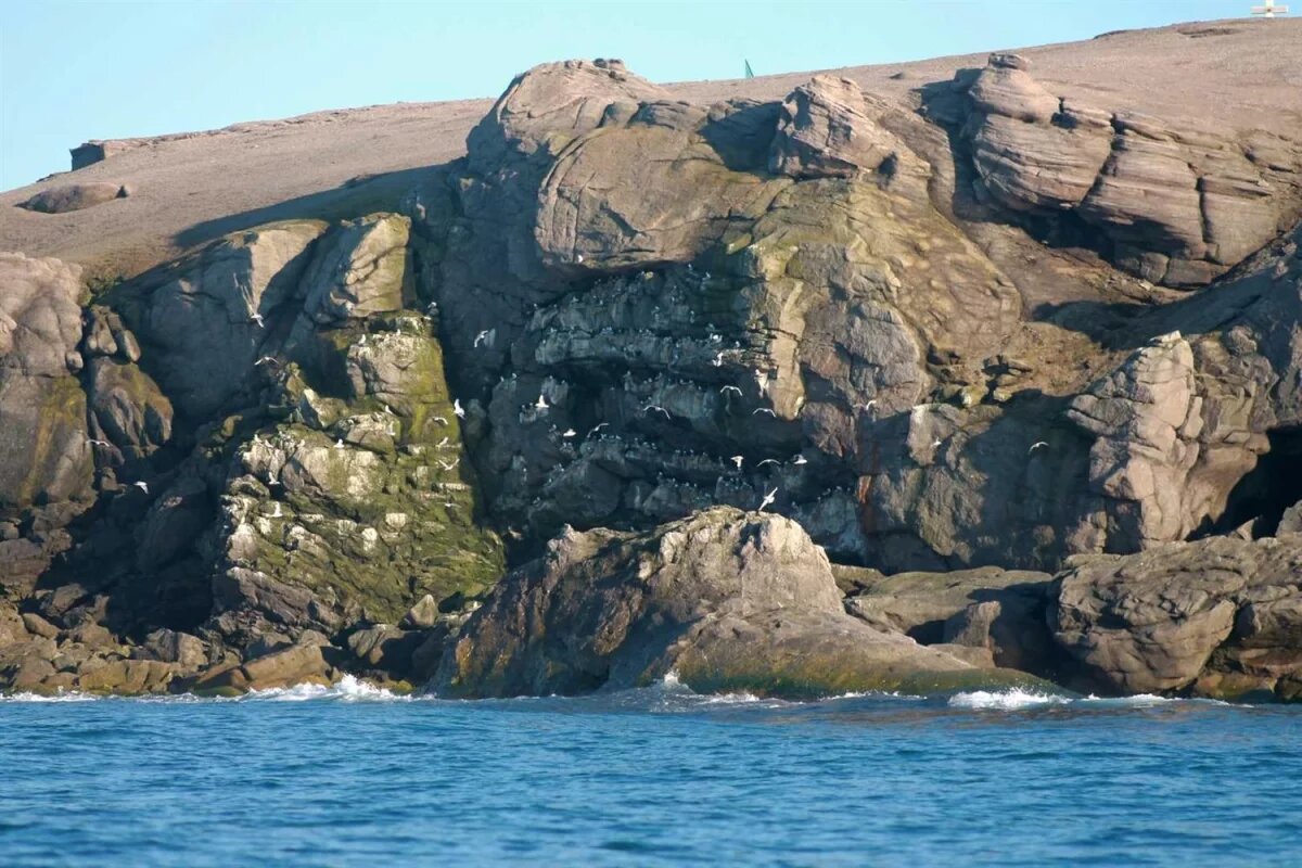    Литовкин сказал, как могут пройти испытания ядерного оружия на Новой Земле