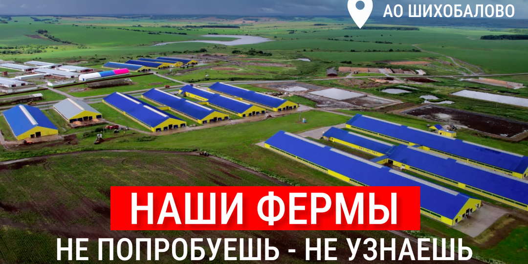 От колхоза до агрокомплекса с европейскими технологиями