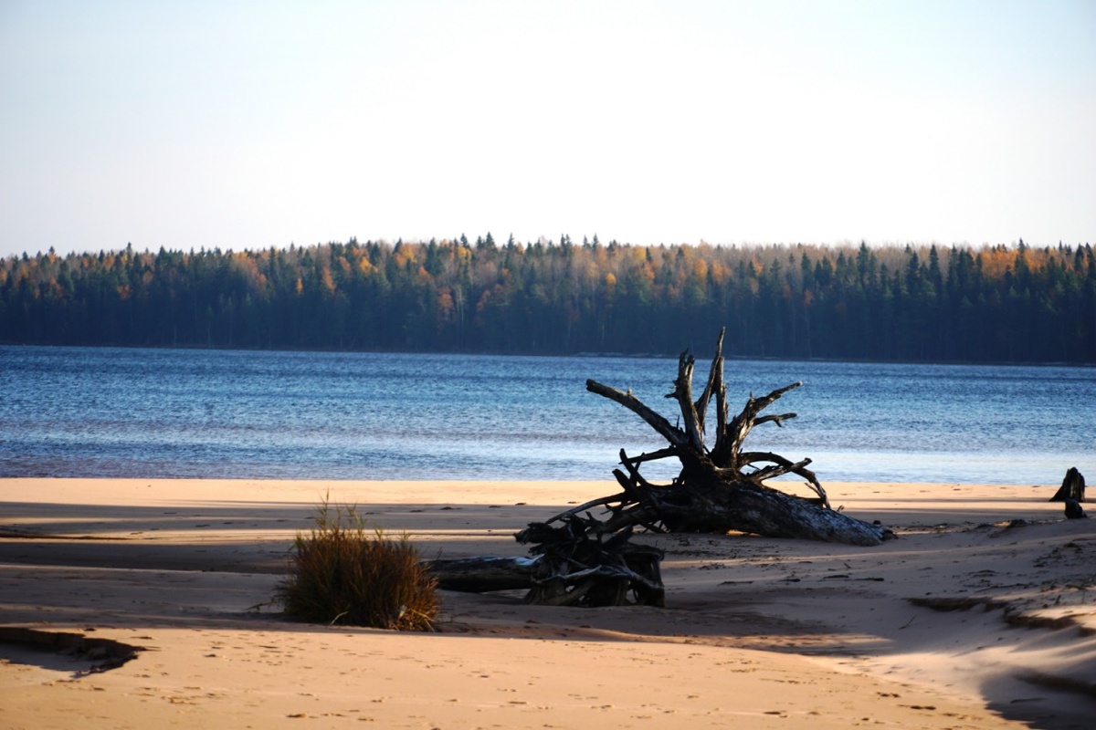    «Фактор Новости»