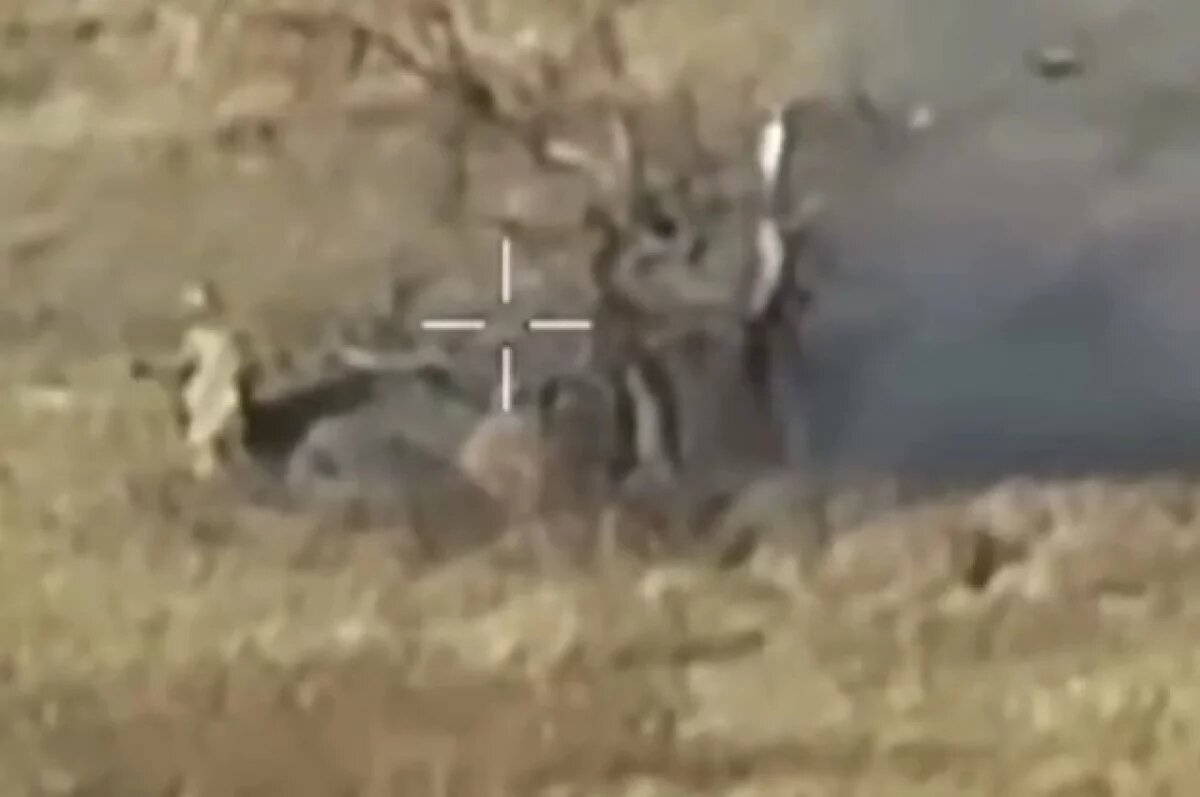    Русский Терминатор: боец РФ победил семь дронов ВСУ