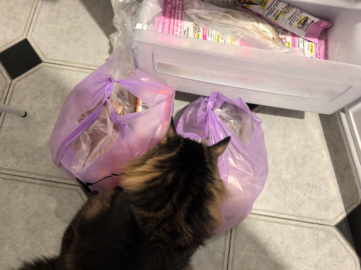 Поверяю, что тут у нас в морозилку отправится.