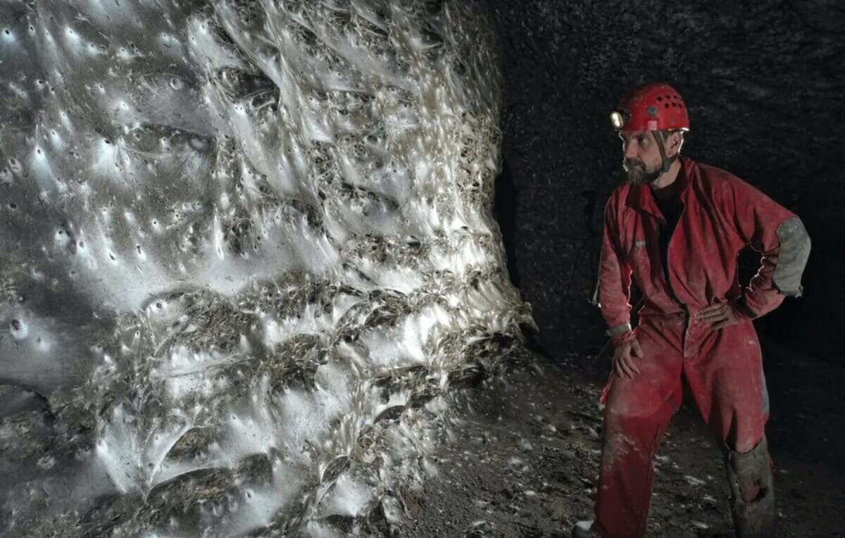    В европейской пещере обнаружили крупнейшую в мире паутину / © Marek Audy