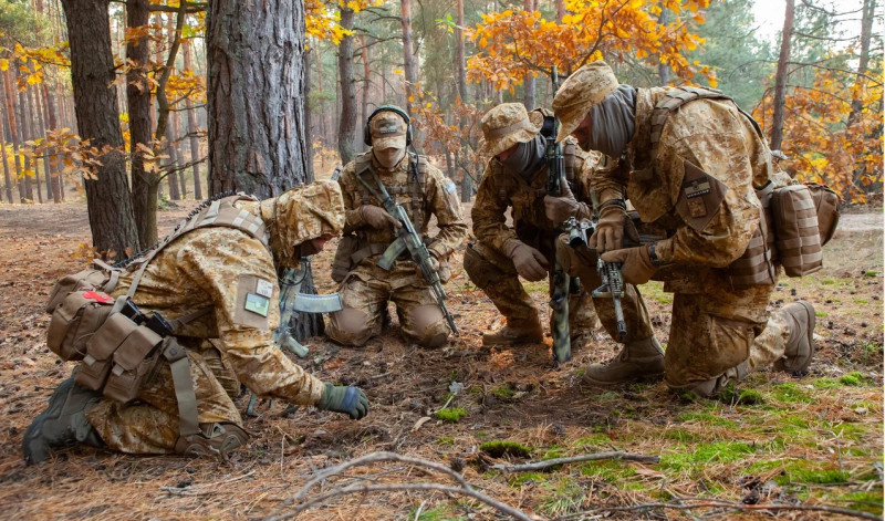    Фото: Freepik.com