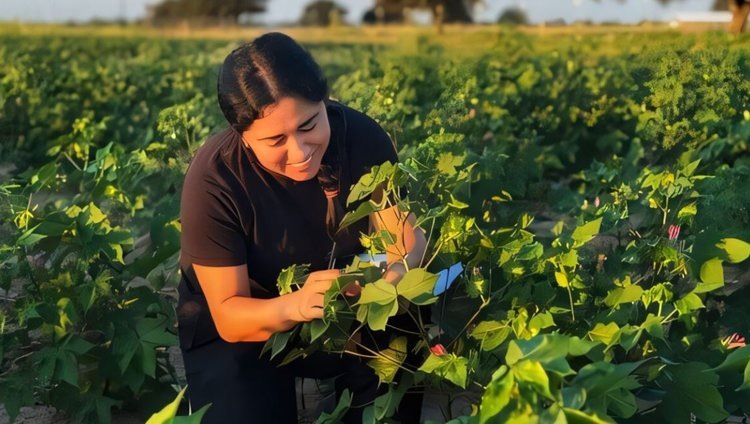    Фото: Diana Escamilla/Iowa State University